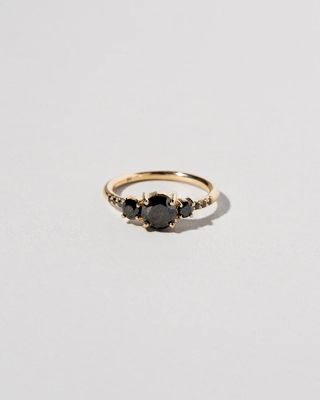 Men’s Customizable Ring-Orion Ring - Black Diamond